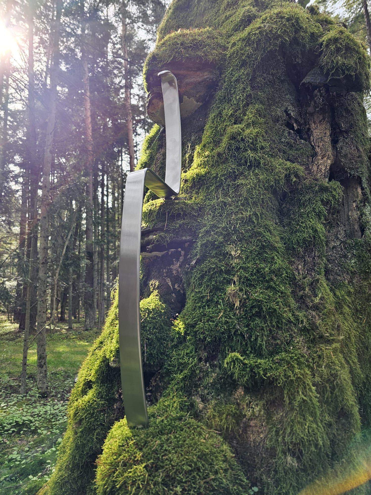 Flatbar ZEUS THUNDER SPARTAN PDR